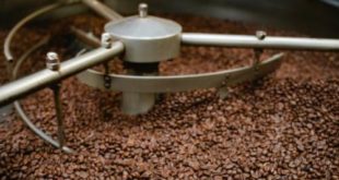 Penyangraian Bagian Penting Penentu Cita Rasa Kopi (bagian 1)