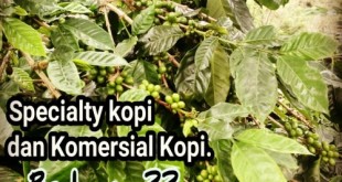 Specialty Kopi vs Komersial Kopi, 3 Kunci Perbedaan Proses
