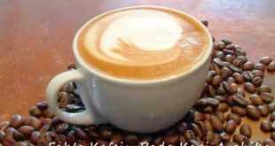 Fakta Kafein pada kopi arabika