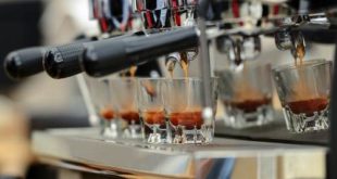 Sekilas Tentang Barista