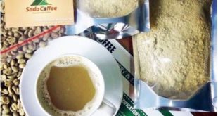Kopi Hijau Pelangsing