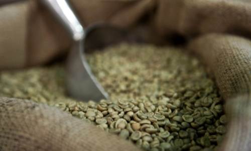 green coffee