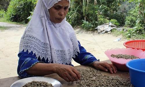 Petani Kopi Harus Sejahtera