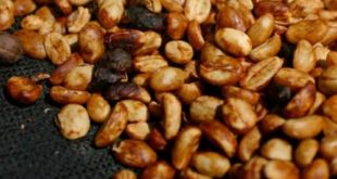 honey cofffe processing