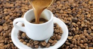 Jenis Acidity Pada Kopi