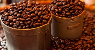 Apa Itu Over Fermented Kopi?