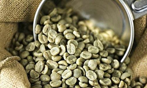 Liberica vs Excelsa Coffee