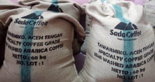 Arabica specialty coffee ready to shipping