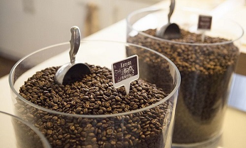 Fakta Tradisi Konsumsi Kopi di Kenya