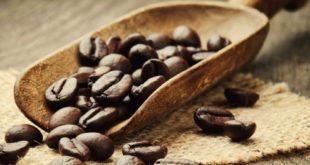 Kopi Mengandung Obat Penenang