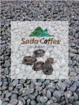 Ekspor Green Bean Coffee Ditargetkan Naik 10 Persen