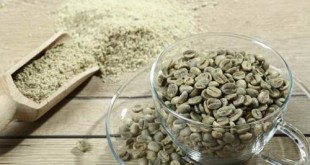 green-coffee-bean