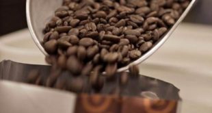 Perlukah melakukan blending Kopi