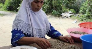 Petani Kopi Harus Sejahtera