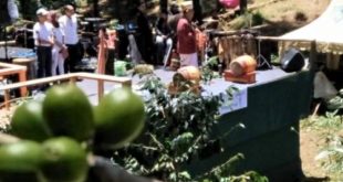 Karakter dominan Kopi Toraja