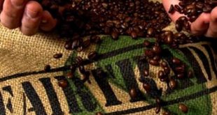 Sertifikasi Fair Trade