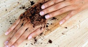 Tips Perawatan Kulit dengan Kopi