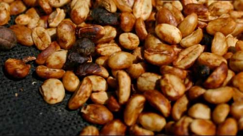 honey cofffe processing