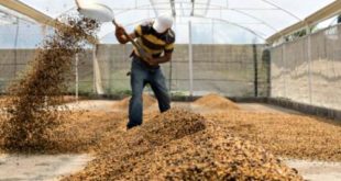 Dry Process Vs Wet Process