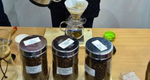 Studi, Kopi Menghambat Penuaan