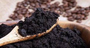 Studi Biogas Dari Ampas Kopi