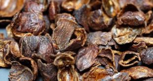 Cascara, Minuman populer kekinian