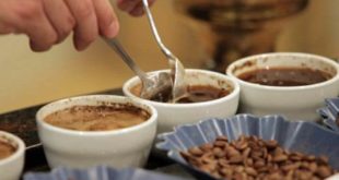 Tips Kalibrasi Rasa Bagi Cupper