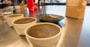 Triangulation pada Tahapan Cupping Kopi