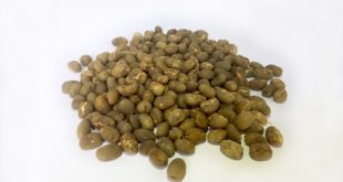 Sensasi Rasa Kopi Peaberry