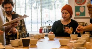 Q Grader Vs R Grader, penguji cita rasa