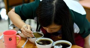 Cita Rasa Kopi, Coffee Flavour Wheel