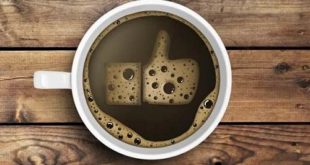 Karakteristik Dominan Kopi Flores