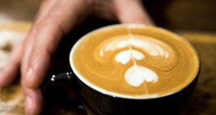 Sensor pH Prototype, Inovasi Dunia Kopi