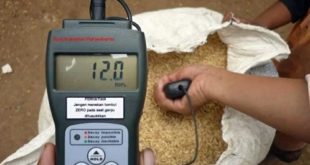 Kandungan Air pada Kopi