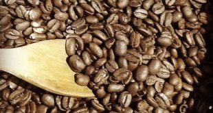 Kopi Jagung, Trend Kopi Masa Penjajahan